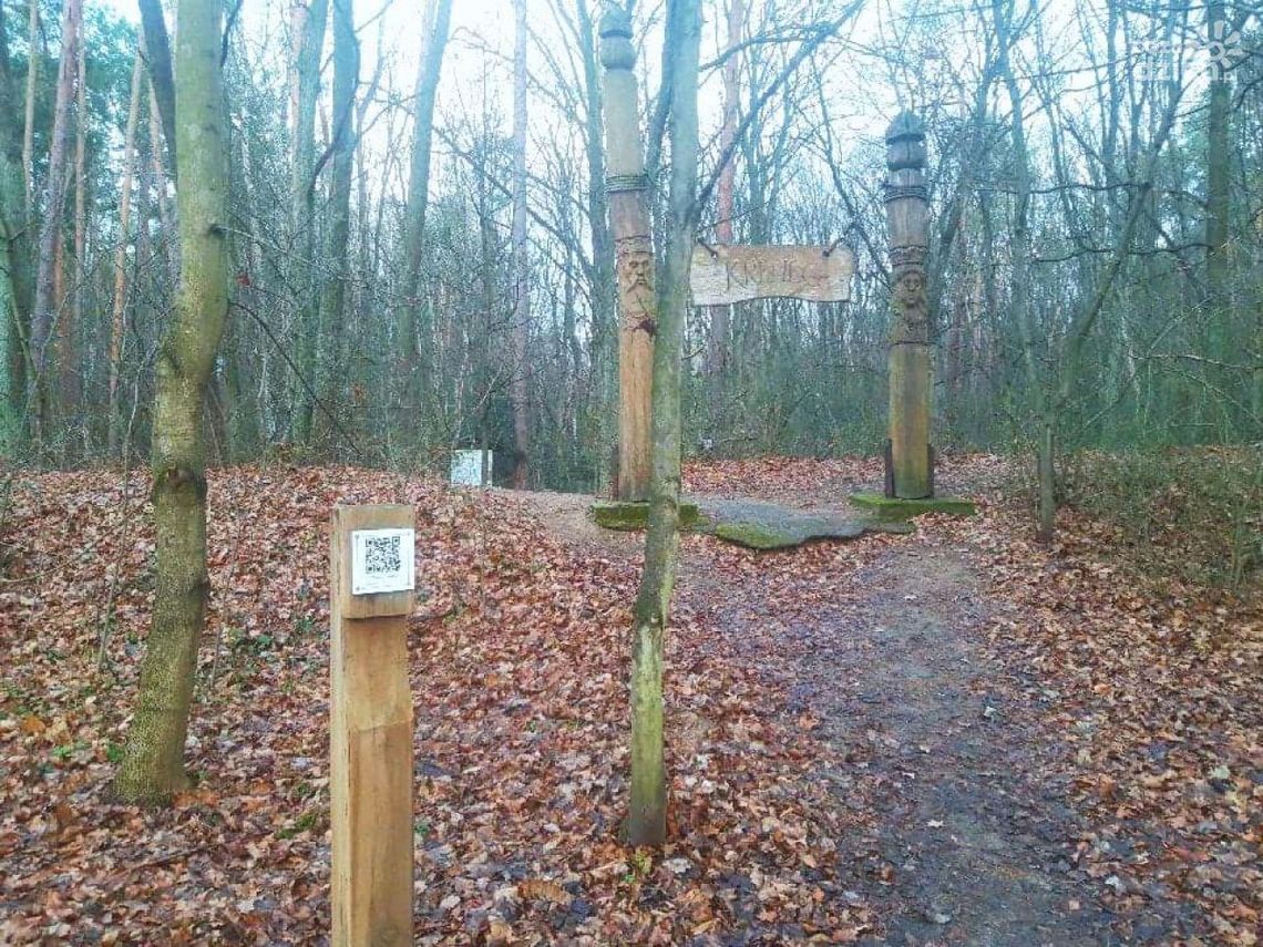 Do rezerwatu z kodem 