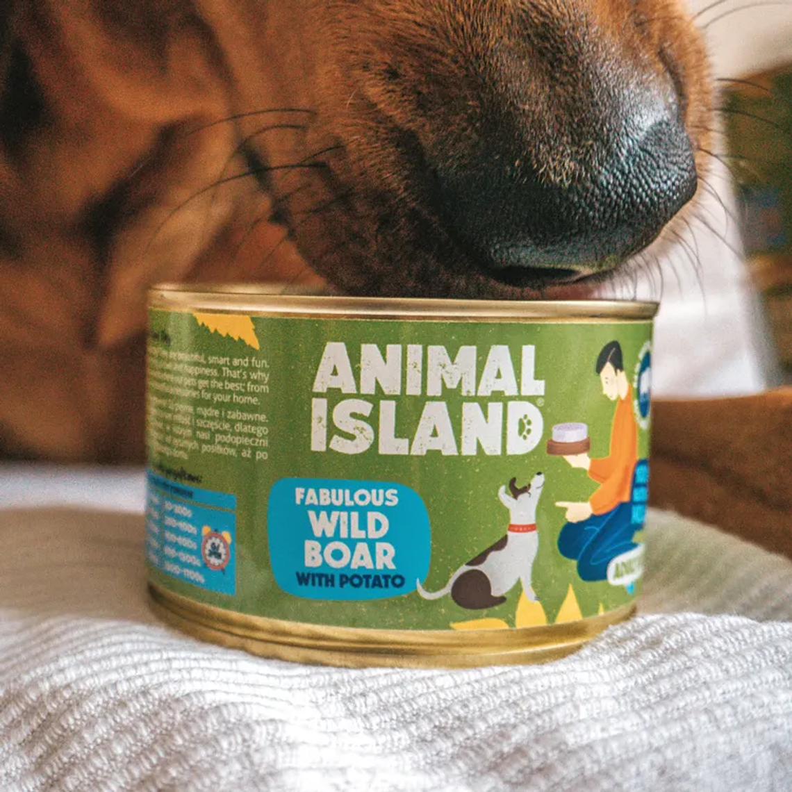 Dobra karma to zdrowy pies. Jak świadomie wybrać mokrą karmę dla swojego pupila? Dobra karma to zdrowy pies. Jak świadomie wybrać mokrą karmę dla swojego pupila?