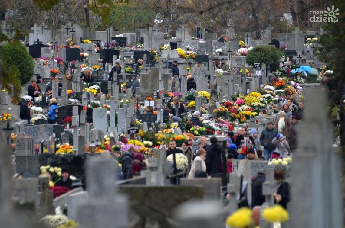 Dodatkowe autobusy w rejonie cmentarzy Dodatkowe autobusy w rejonie cmentarzy