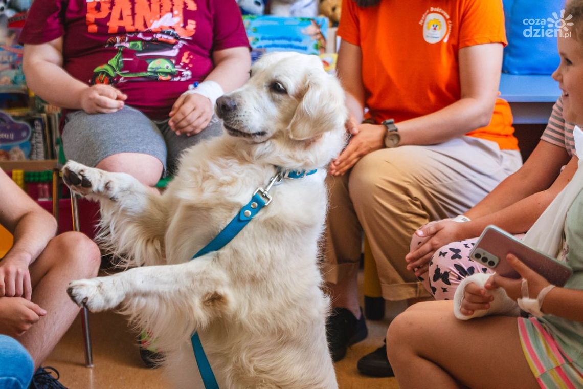 Dogoterapia na Józefowie
