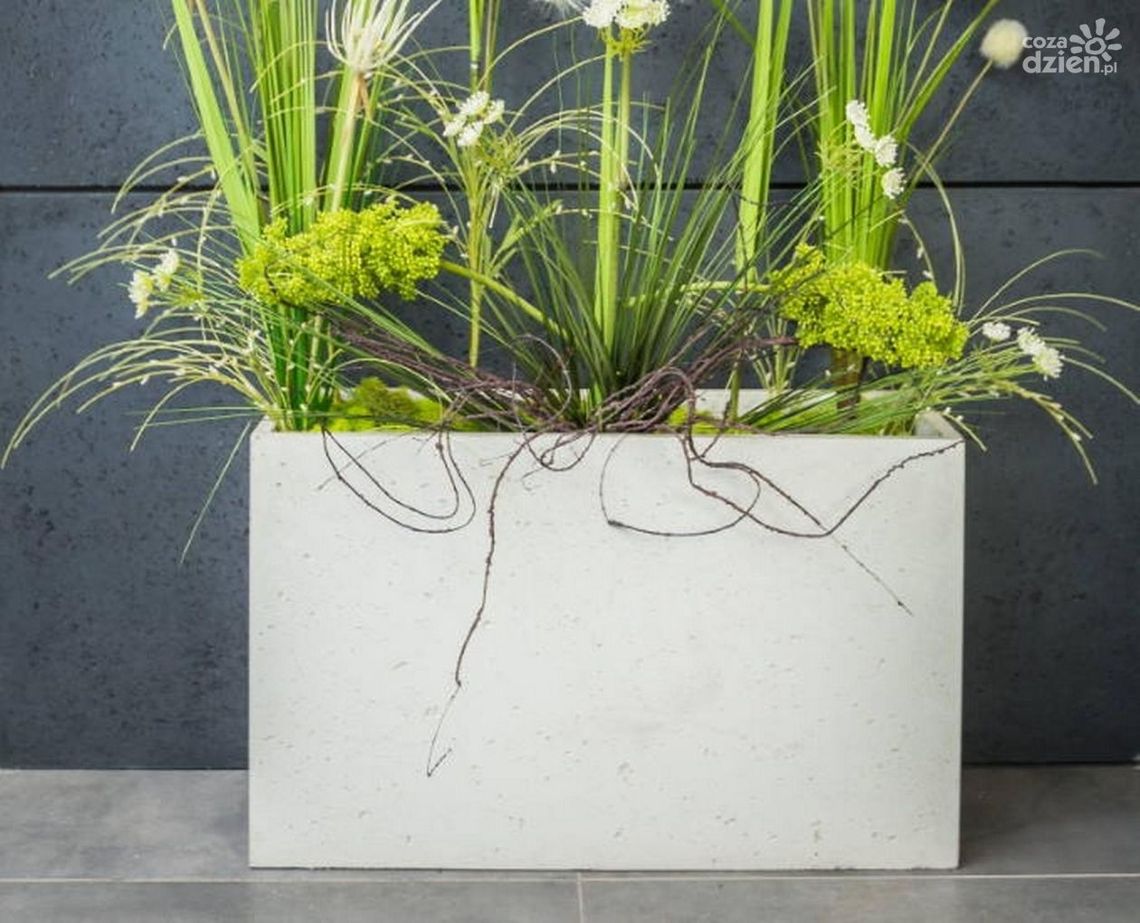 Donice betonowe na nowoczesny taras - zalety, zastosowanie i porady, z czym łączyć betonowe donice