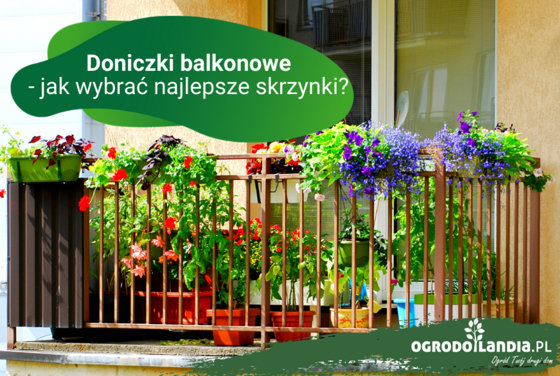 Doniczki balkonowe - jak wybrać najlepsze skrzynki?