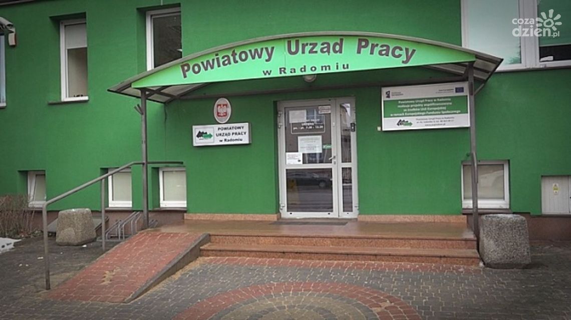 Doradztwo zawodowe w Powiatowym Urzędzie Pracy