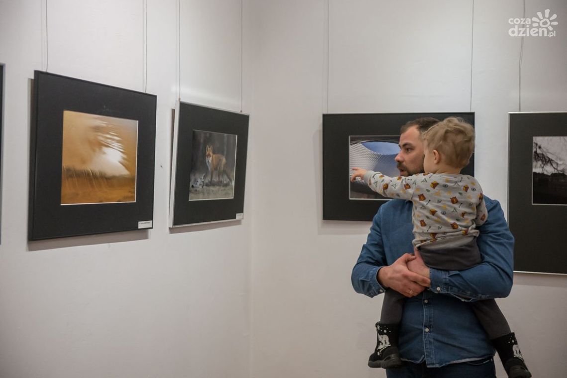 Doroczna wystawa RTF