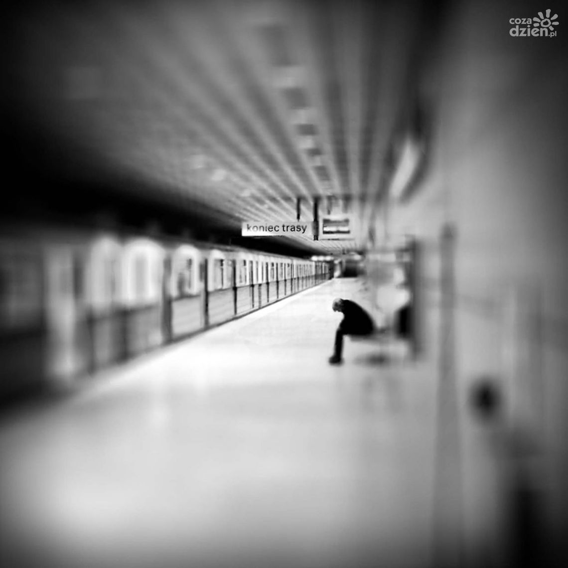 Dotyk miasta - wystawa fotografii w Heliosie