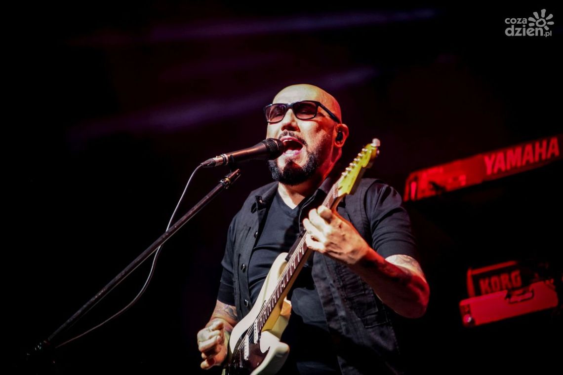 Dożynki Powiatowo-Gminne w Jedlińsku (zdjęcia)