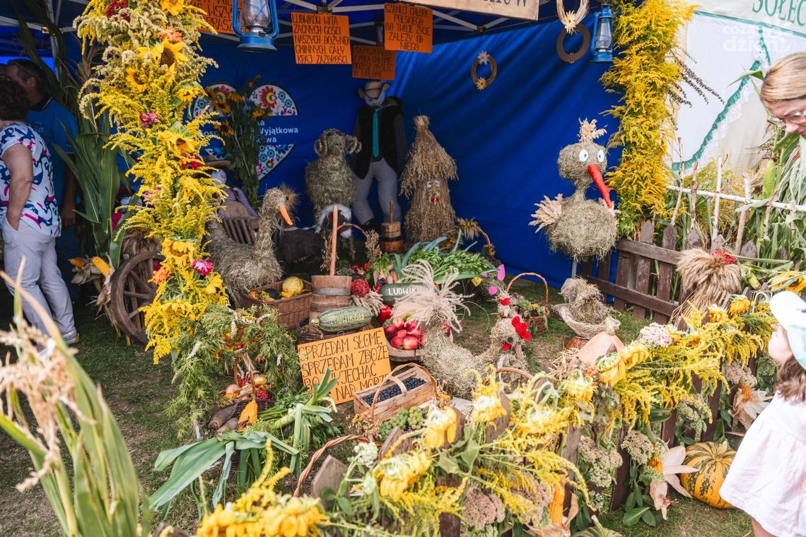 Dożynki w Jedlińsku. Nie brakowało barwnych wieńców!