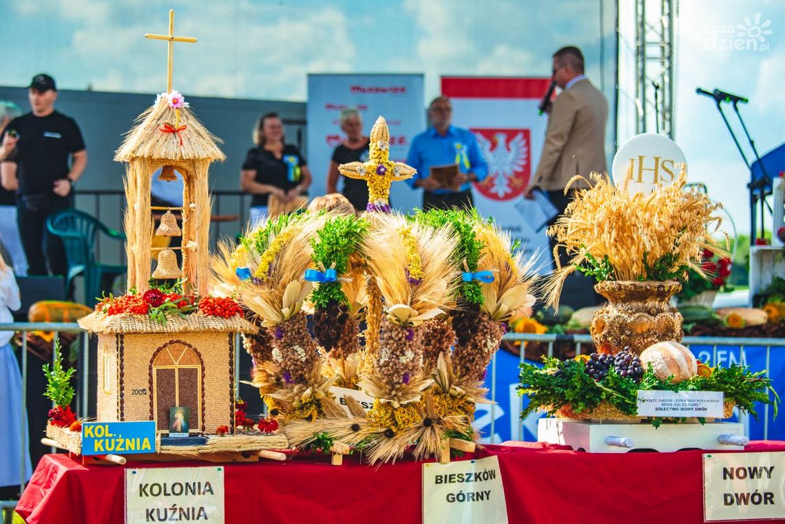 Dożynki wojewódzkie w skansenie Dożynki wojewódzkie w skansenie