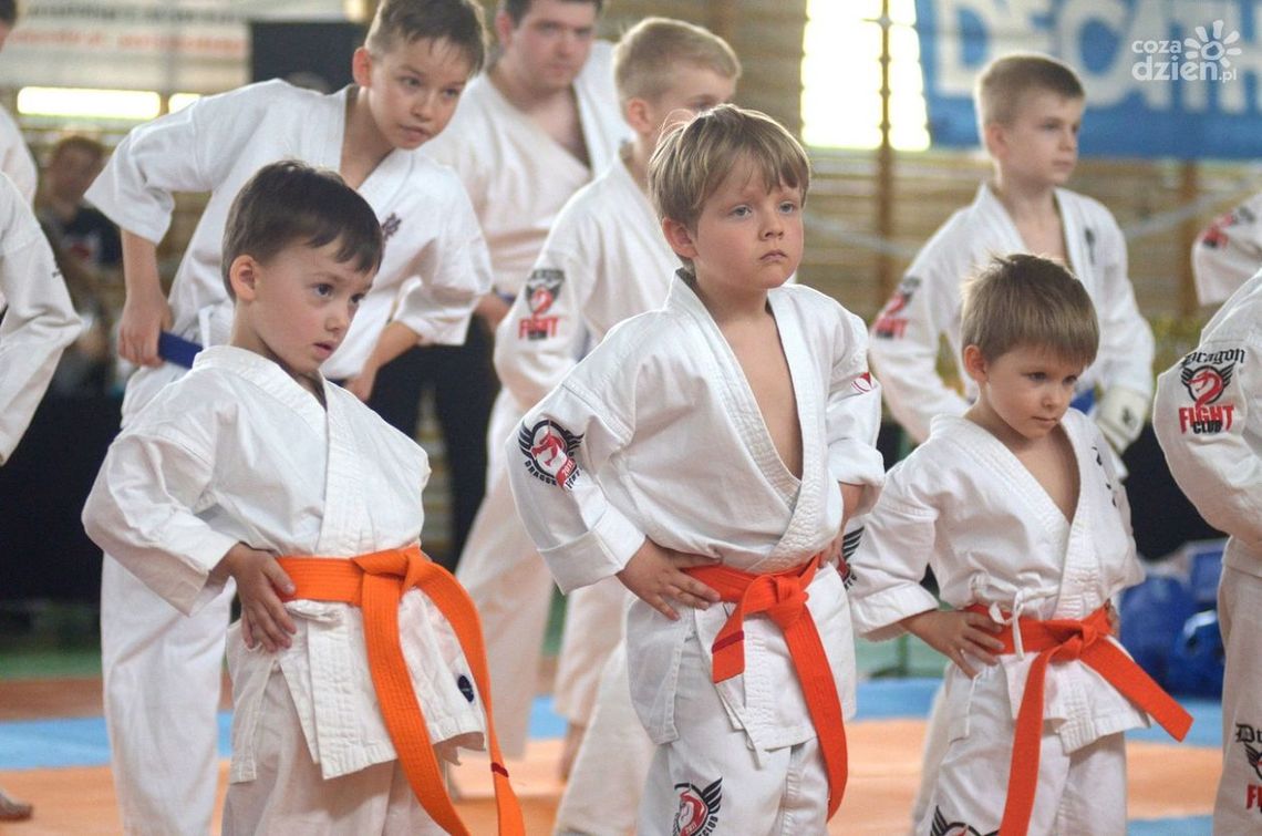 Dragon Fight Club podsumował 2016 rok Dragon Fight Club podsumował 2016 rok