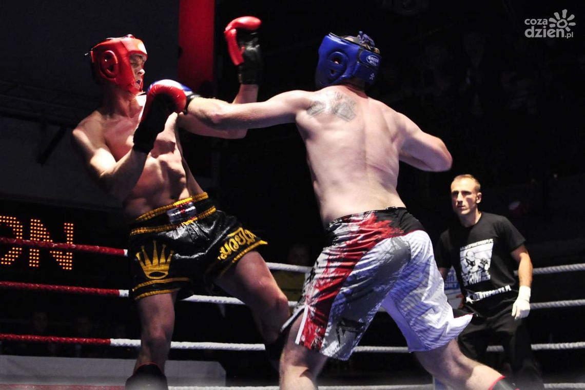 Dragon Fights już za nami! Dragon Fights już za nami!