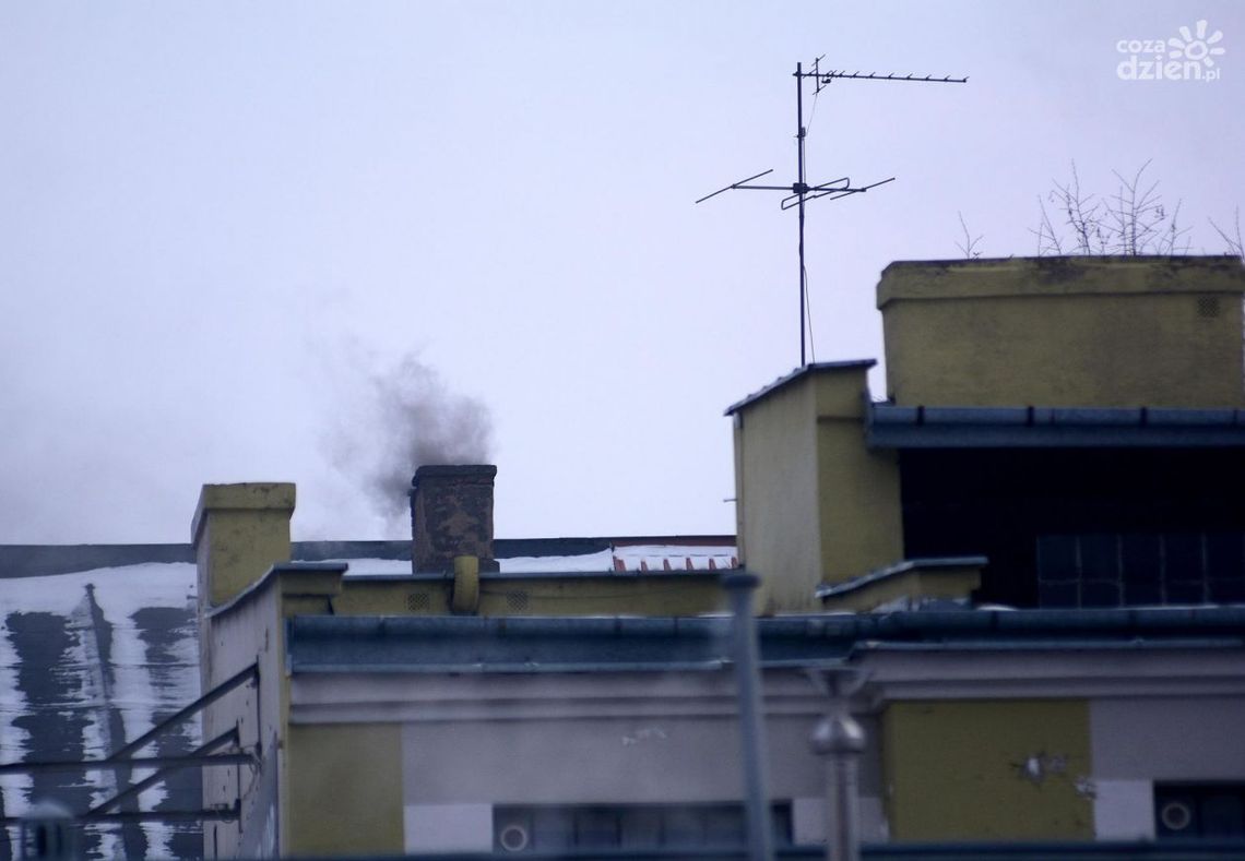 Dronem namierzyli truciciela