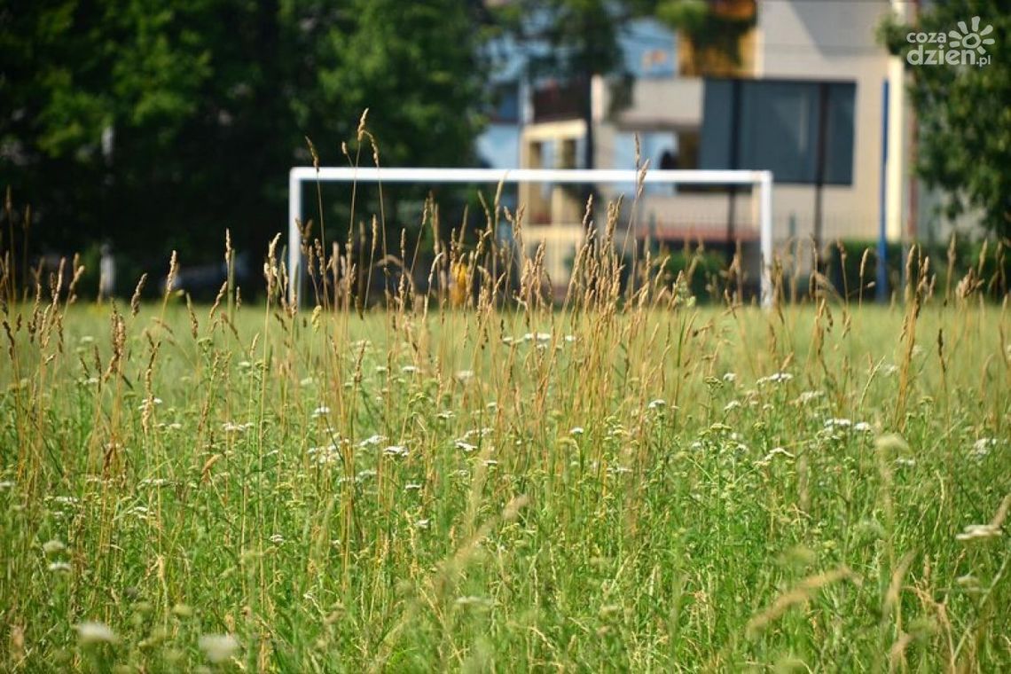 Drużyny nie ma, stadion został. Będzie straszył przez 90 lat?