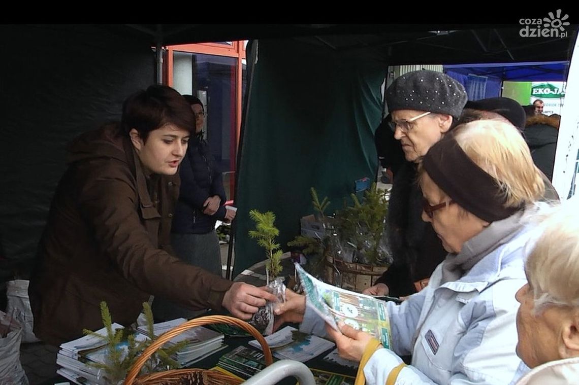 Drzewo za surowce wtórne