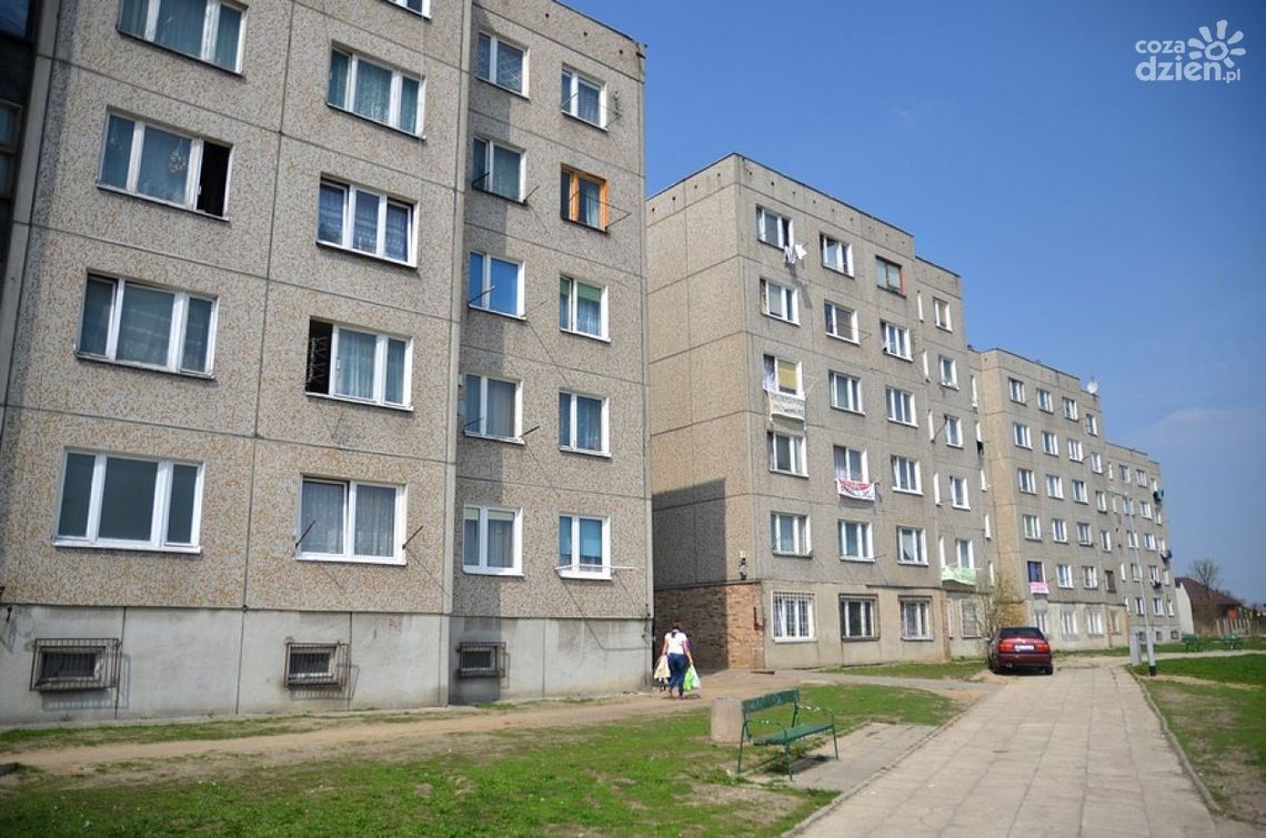 Duże zainteresowanie odpracowaniem czynszu