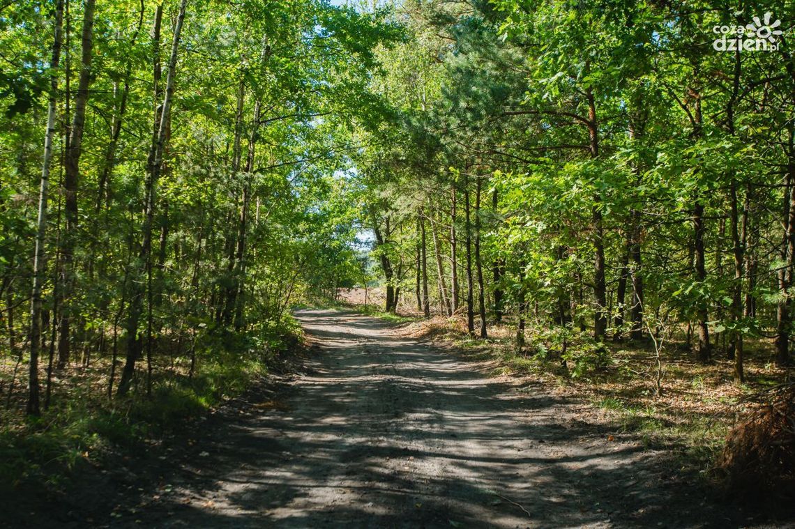Dwa dni do wyprawy Co Za Jazda! Rzeczniów Dwa dni do wyprawy Co Za Jazda! Rzeczniów