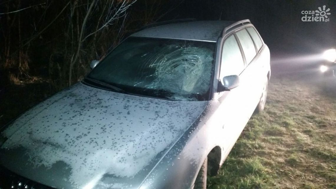 Dwa miesiące aresztu dla sprawcy potrącenia