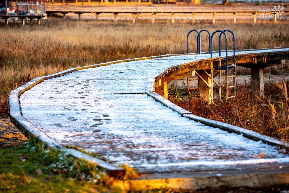 Dwie firmy chcą oczyścić zalew na Borkach Dwie firmy chcą oczyścić zalew na Borkach