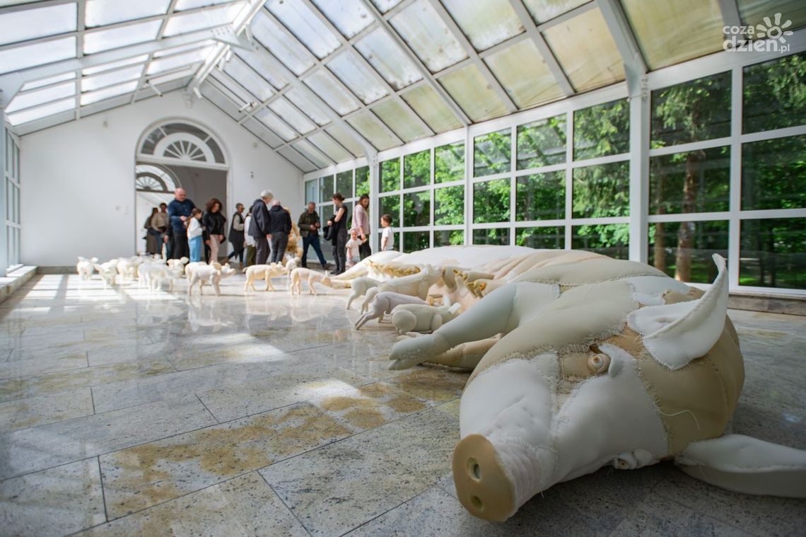 Dwie wystawy w Orońsku Dwie wystawy w Orońsku