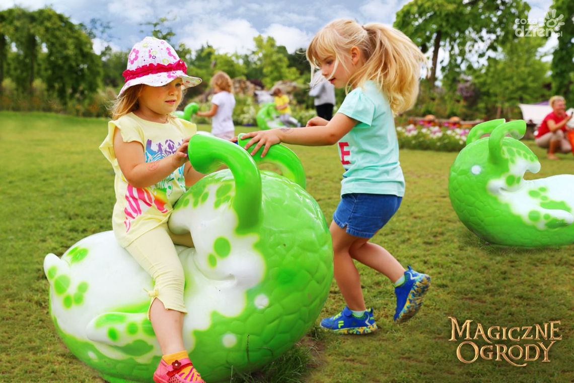 Dyniobranie w Magicznych Ogrodach