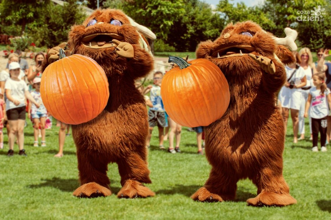 Dyniobranie z Mordolem Witkiem