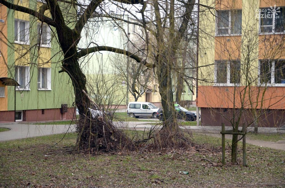 Działki miejskie w nieładzie? Skargi mieszkańców