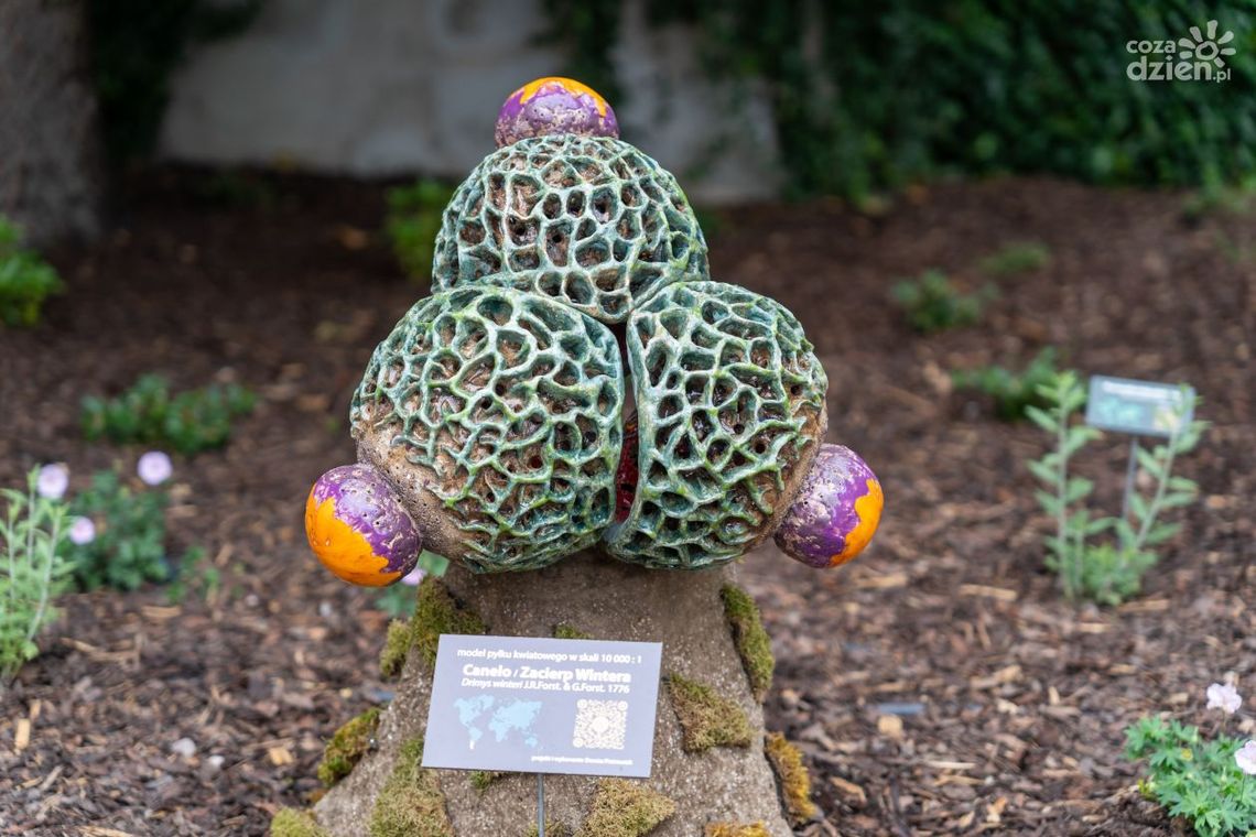 Dziedziniec w nowej odsłonie