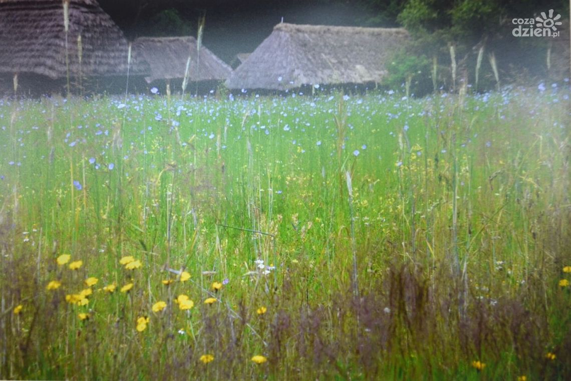 Dziś zbiorowa wystawa fotografii członków RTF