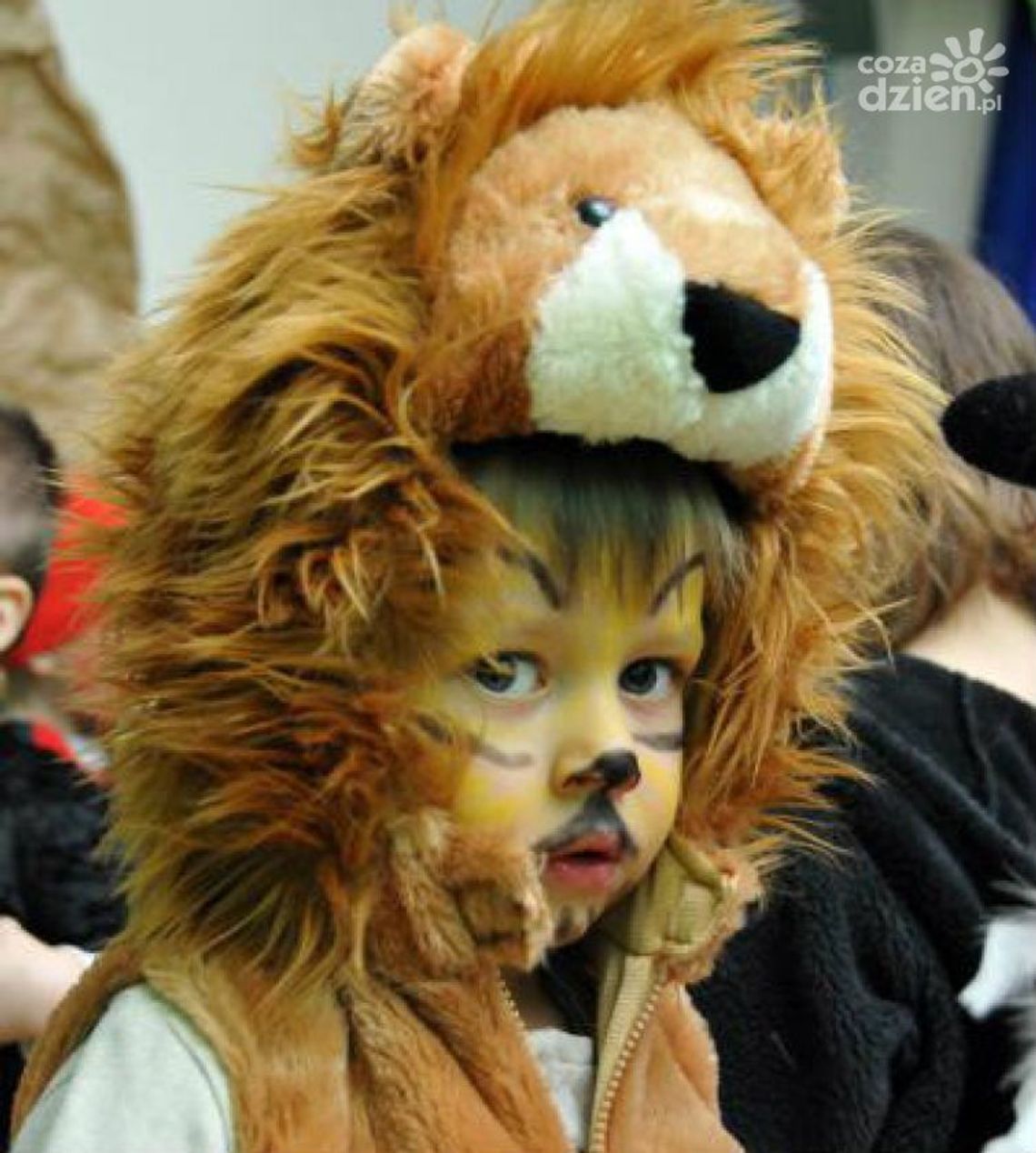 Dżungla w "SŁONECZKU"