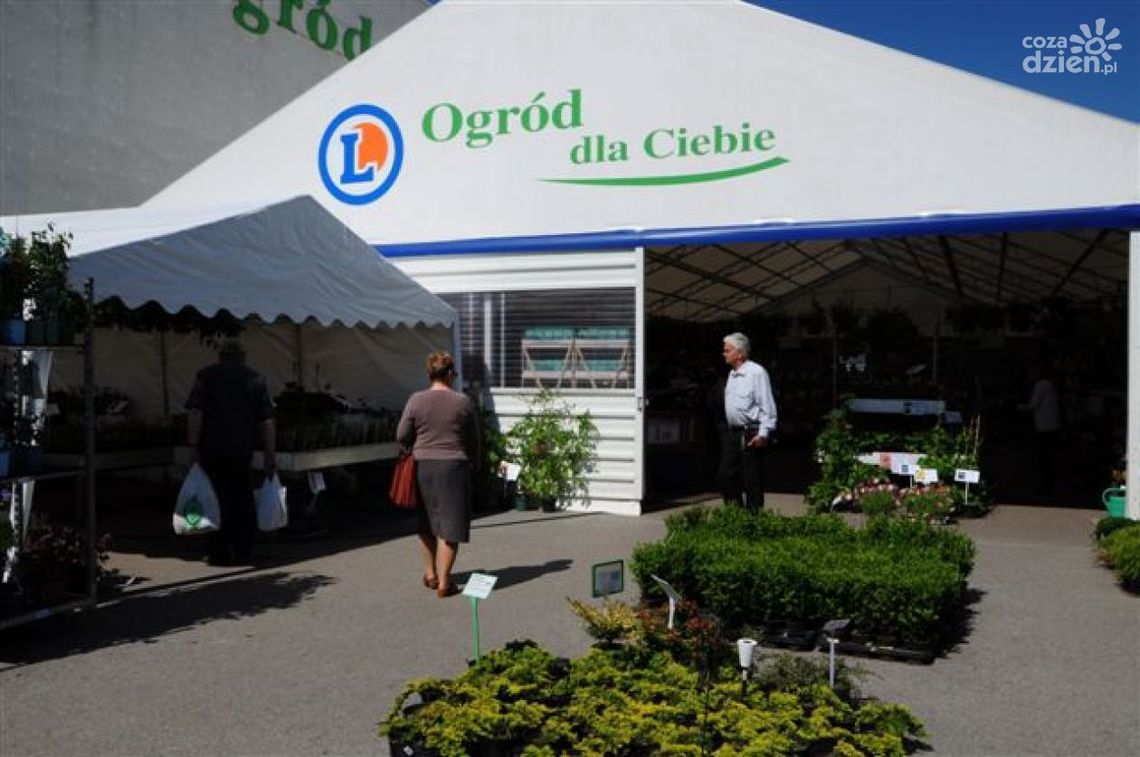 E.Leclerc wprowadza kolekcję wiosennych barw