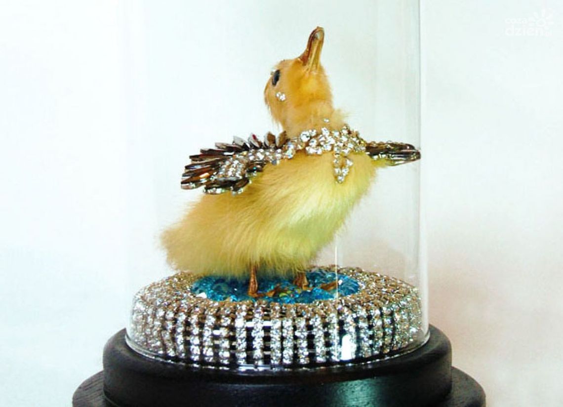 "Ecce animalia" - Centrum Rzeźby Polskiej o braciach mniejszych