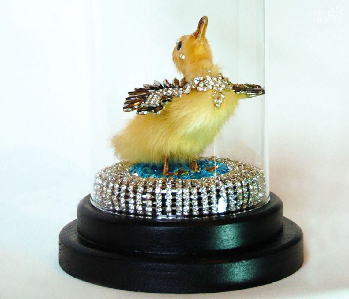 "Ecce animalia" - Centrum Rzeźby Polskiej o braciach mniejszych "Ecce animalia" - Centrum Rzeźby Polskiej o braciach mniejszych