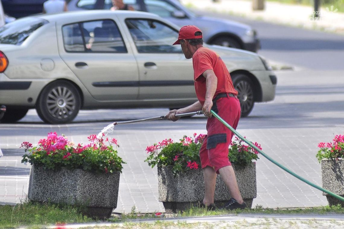 EKO-FLORA zajmie się kwiatami w mieście za blisko 250 tys. zł