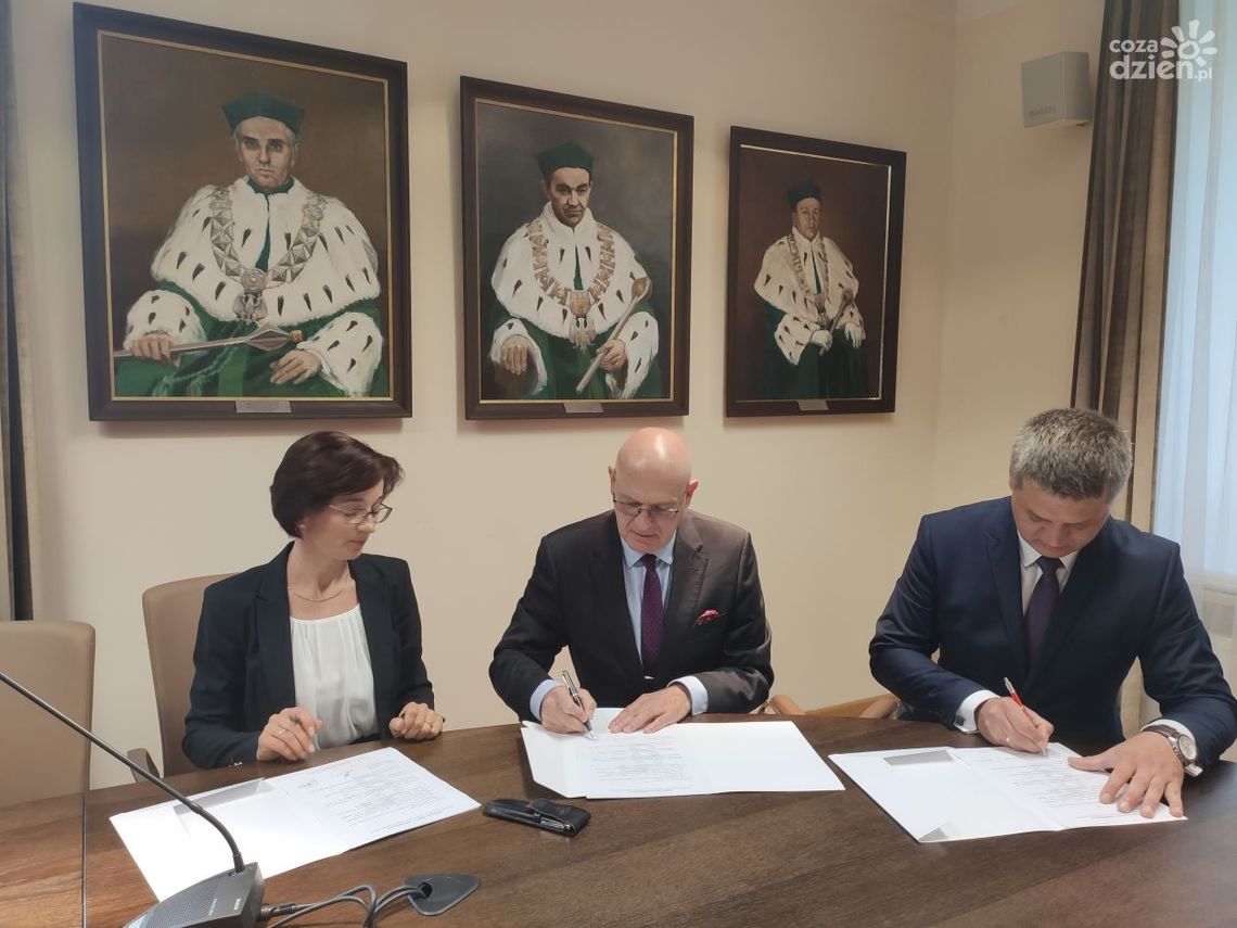 Ekonomik pod skrzydłami UTH