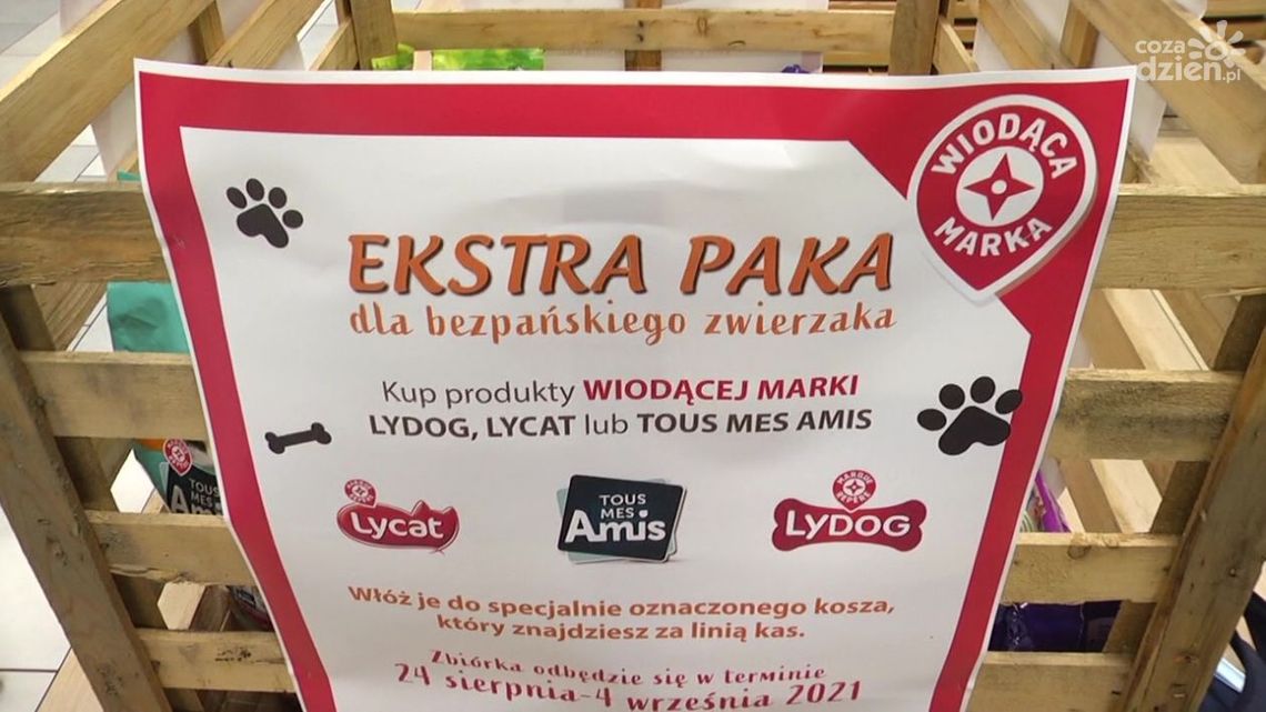 Ekstra paka dla bezpańskiego zwierzaka