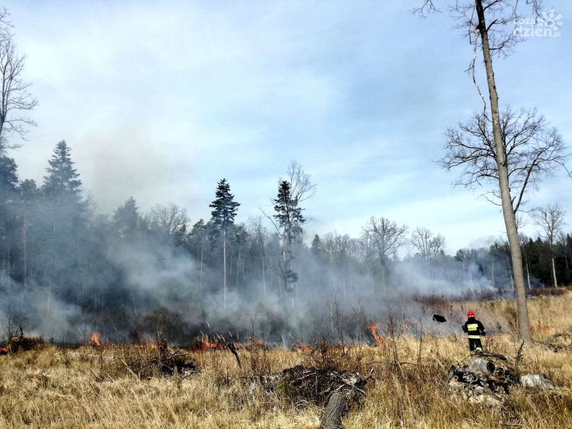 Ekstremalne zagrożenie pożarowe w naszym regionie