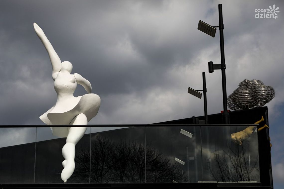 Elektrownia zaprasza na świąteczny spacer z rodziną