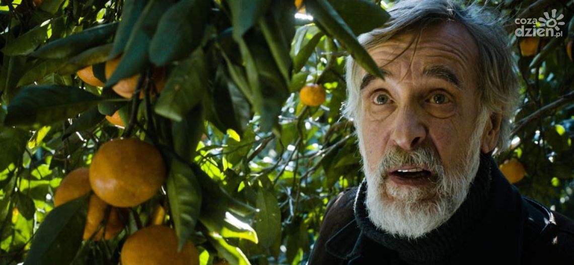 Elektryzujący Maraton Filmowy