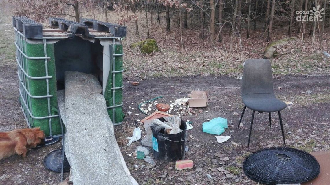 Emerytowany policjant wciąż na posterunku 
