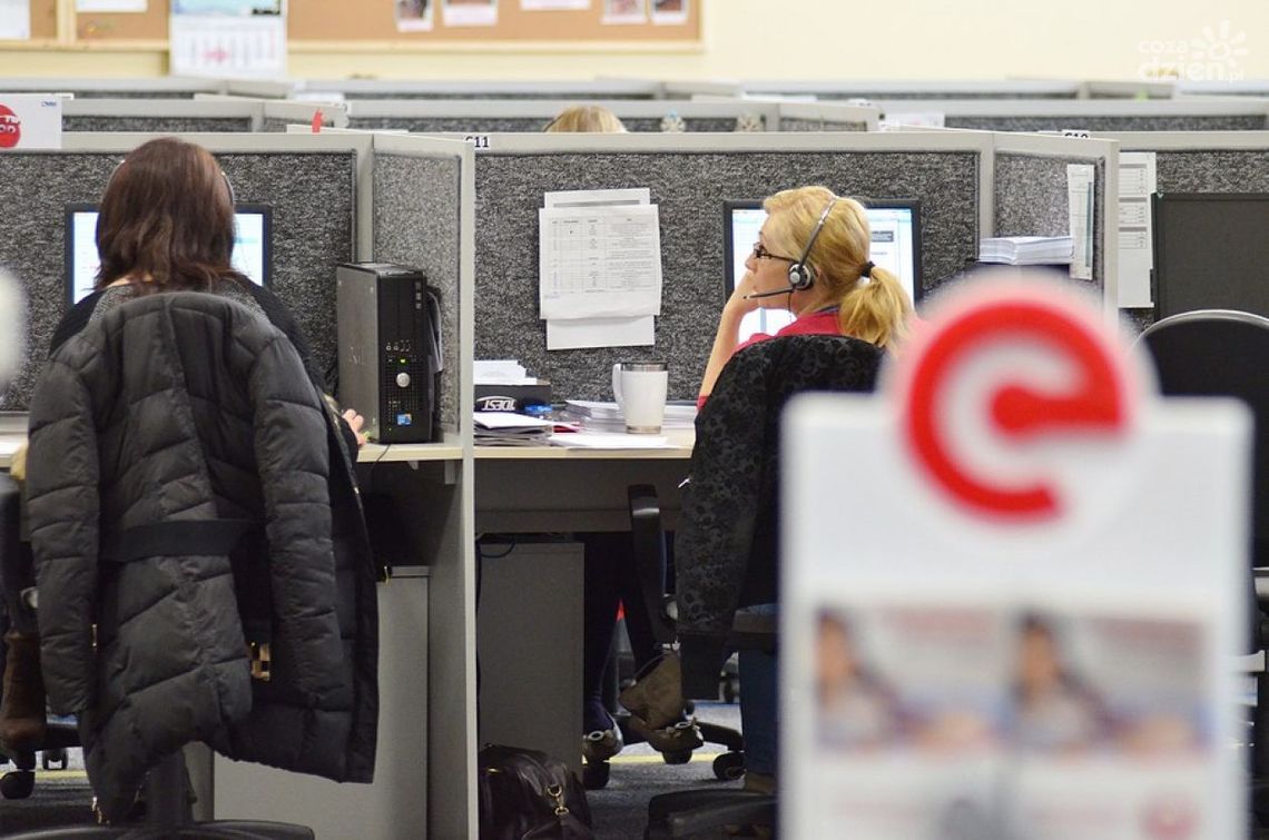 Europe Calling szuka pracowników