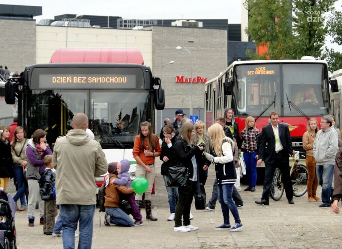 Europejski Dzień bez Samochodu - ZOBACZ ZDJĘCIA Europejski Dzień bez Samochodu - ZOBACZ ZDJĘCIA