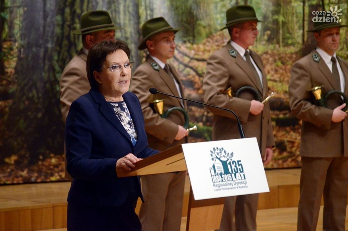 Ewa Kopacz: "Nie ma planów prywatyzacji lasów"