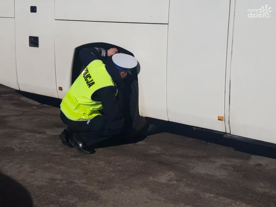 Ferie 2022. Możesz sam sprawdzić autokar 