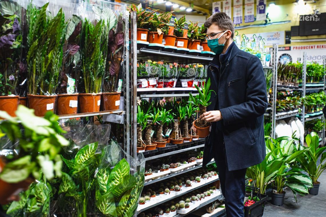 Festiwal roślin w hali MOSiR Festiwal roślin w hali MOSiR