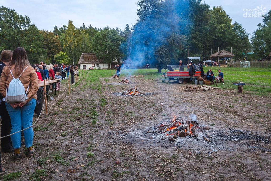 Festiwal Ziemniaka w Muzeum Wsi Radomskiej 