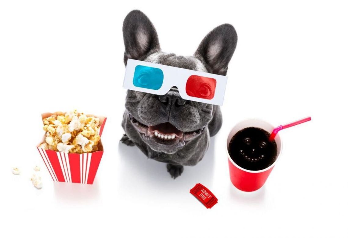 Filmy dla najmłodszych, czyli jak rozwijać dziecięcą wyobraźnię