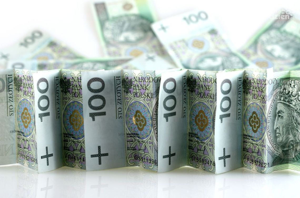 Firma bez składek? Jest program dla przedsiębiorców