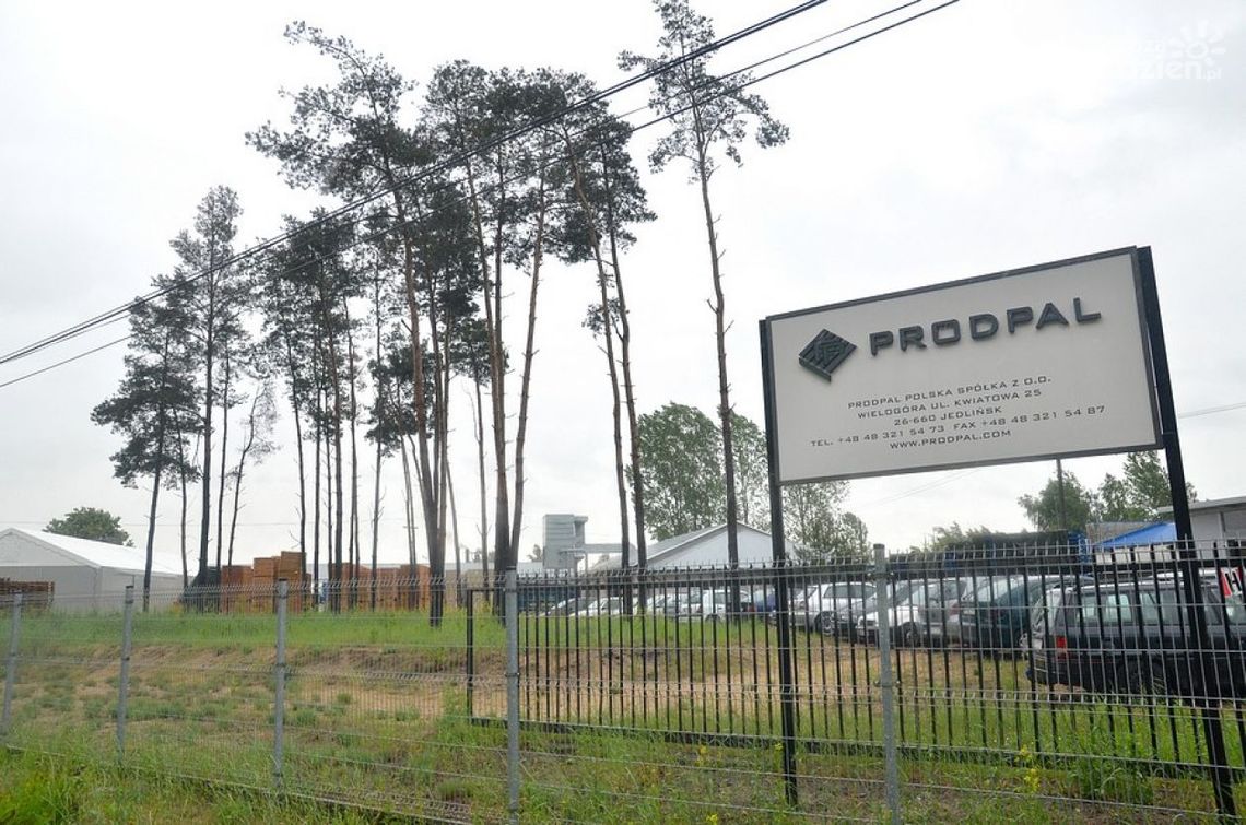 Firma chce zatrudniać ludzi. Ale to nie takie łatwe