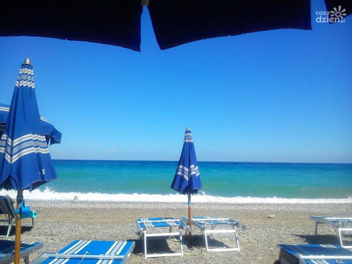 Fosa pełna kultury - Arrivederci, fosa!