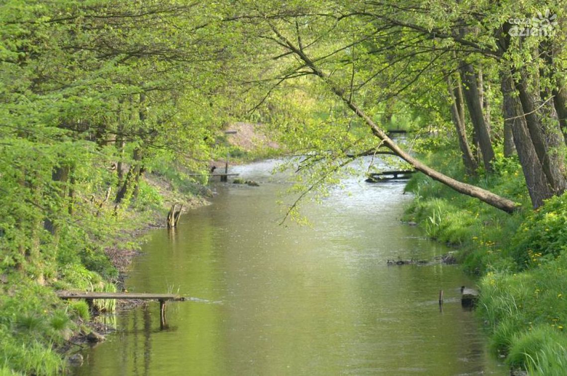 Fotograficzny spacer po Iłży Fotograficzny spacer po Iłży