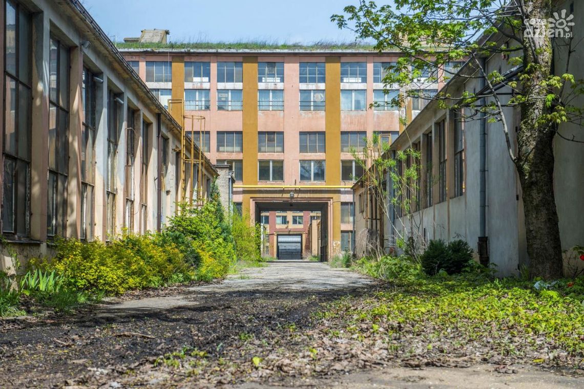 Frysztak: Program Fabryka to porażka PiS Frysztak: Program Fabryka to porażka PiS